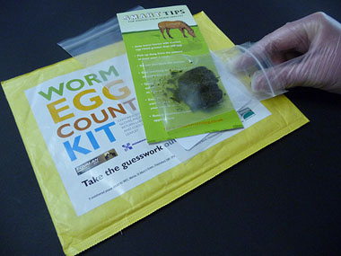 A worm egg count is the smart way to target your worming (Image courtesy of Merial)