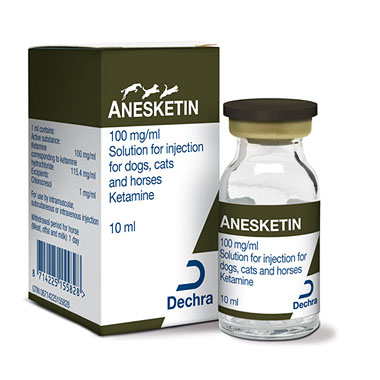 Pack shot of Anesketin 10 ml