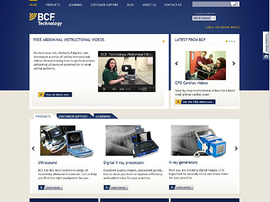 BCF Technology website screenshot.jpg