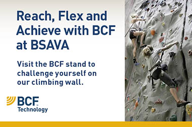 Climbing wall promotional flyer