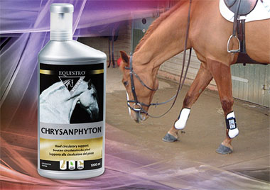 Chrysanphyton promo image of horse and product container