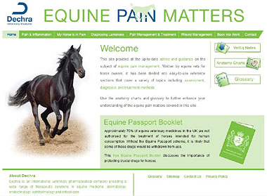 Dechra 1 Screen shot of Equine Pain Matters website