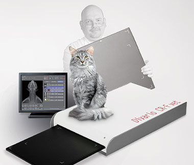 Photo of vet and cat, with cat sitting on top of the scanner