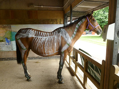 Photo of Duchess the horse painted
