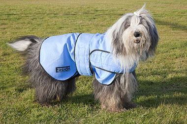 Photo showing dog wearing Easidri coat