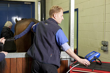 Vet standing behind horse with scanner