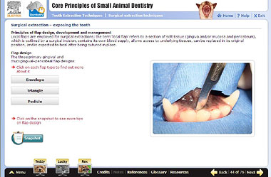 Screenshot of dental modules on Vetacademy site