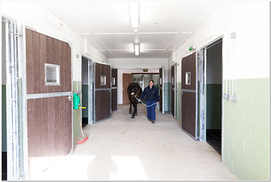 Photo showing inside of new equine premises