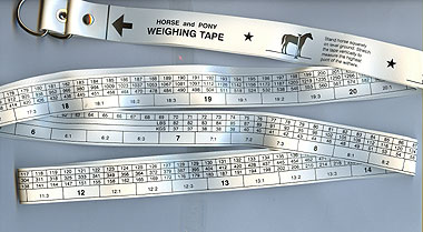 Horse and pony weighing band