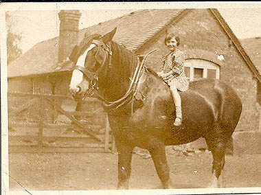 A young Job Davies on a horse