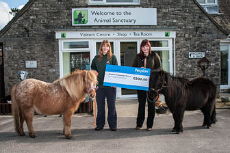 Hannah Dunn, Deputy Centre Manager is awarded the cheque by Chloe Tomlinson, Petplan Account Executive with Shetland ponies Micky and Donald