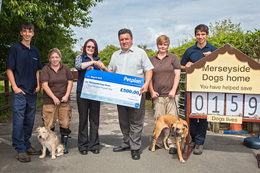 Merseyside Dogs Home winners