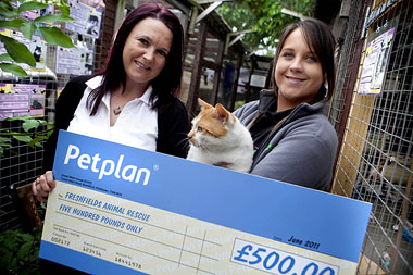 Petplan Business Developer, Pauline Wellbelove with Freshfields Animal Rescue Centre staff