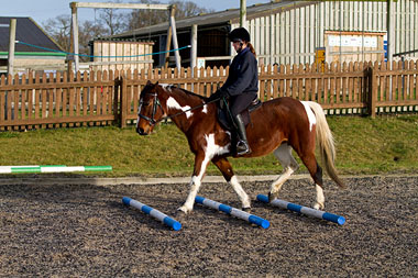 A photograph of a groom riding one of our horses at Hall Farm