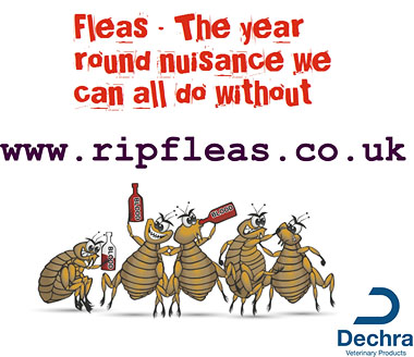Poster showing cartoon fleas