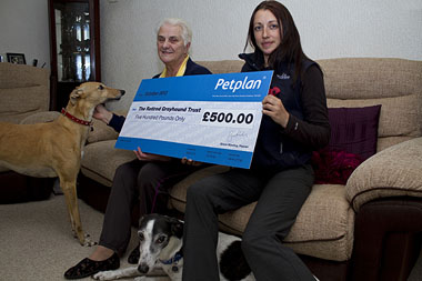 Louise Brocklesby, Account Executive from Petplan, presenting a £500 charity cheque to Jan Ruffle, Manager of RGT’s Peterborough branch, and her two greyhounds Sarah and Stoney.