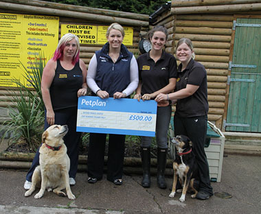 Left to right: Jo Fairbrother, Manager of Second Chance Rescue, Ali Mallalieu from Petplan, Tammy Lewis and Alex Swainson also from Second Chance Rescue. The dogs are Taz the Labrador and Bob the Collie.