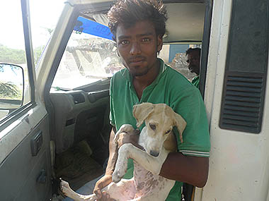 TOLFA staff member holding a puppy