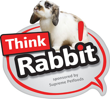 Think Rabbit logo