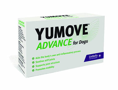 YUMOVE Advance Dog 60 Pack