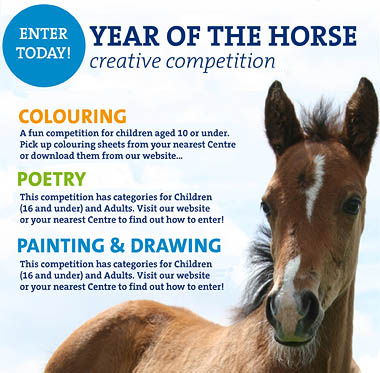 Year of the Horse competition image