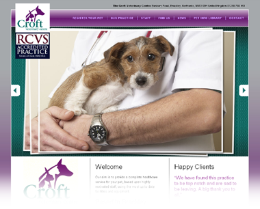 Example of a 'Biting The Postman' website