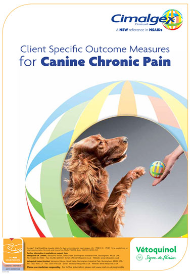 Picture shows the outside cover of a Client Specific Outcome Measures for Canine Chronic Pain pad