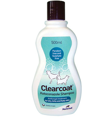 Clearcoat_500ml bottle