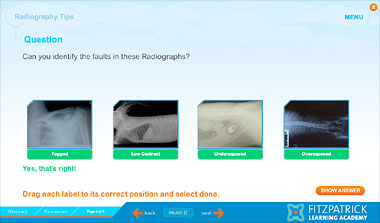 Screen grab from VN CPD Elearning module
