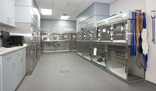 Dog ward 2 (one of three dog wards)title=