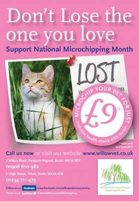 Offers from Willowtitle=