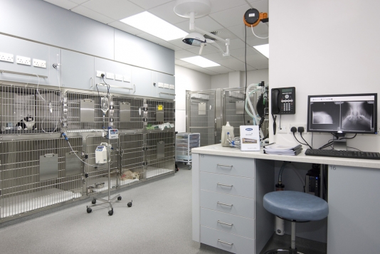 Intensive care unittitle=