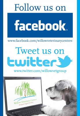 Follow us!title=