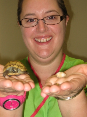 tiny tortoise and huge bladder stonetitle=