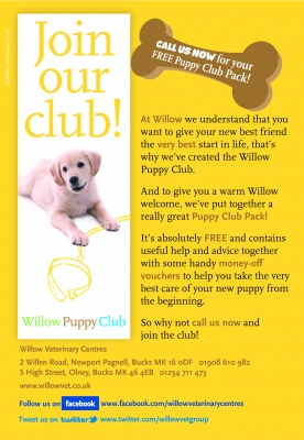 A club for puppies at Willowtitle=
