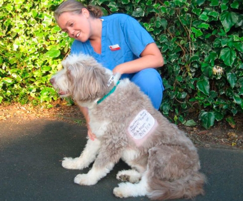 Grace - before surgery with a pain relief patch on her sidetitle=