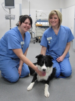 Hannah and Danielle - our latest trainee nurses to qualify!title=