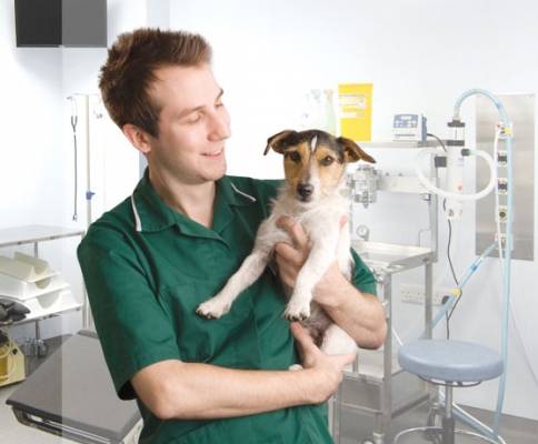 Veterinary Nurse Craig with a patienttitle=