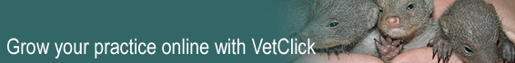 Grow your practice online with VetClick