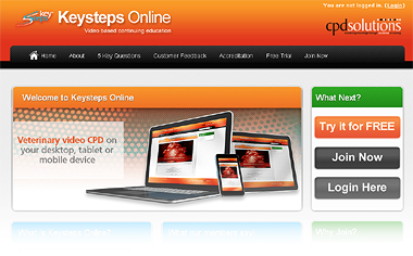 Keysteps home page screenshot
