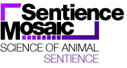 Sentience logo
