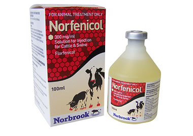 Norfenicol pack shot