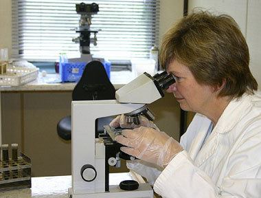 Scientist gtesting sample in the lab