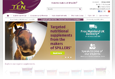 TENS website screenshot