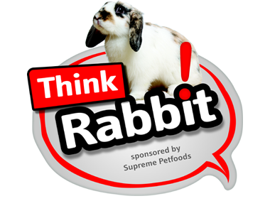 Think Rabbit! logo