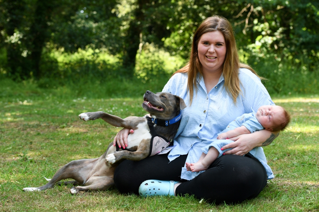 Last year’s Pet of the Year winner, assistance dog Belle with owner Amee Tomkins baby Olly