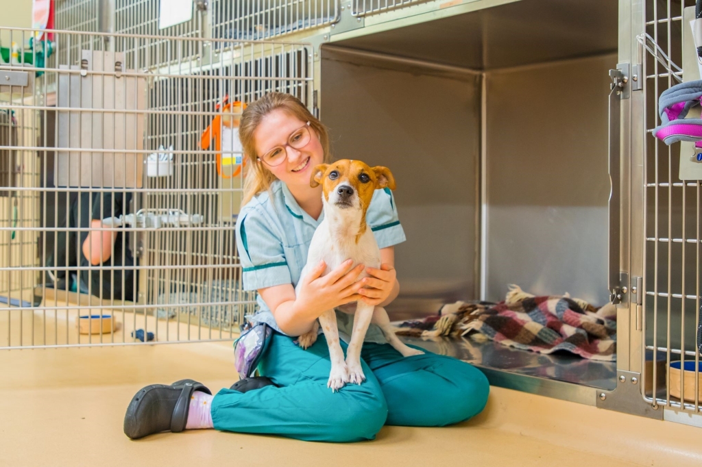 Cave Veterinary Specialists has been recognised for its high-quality care for dogs.