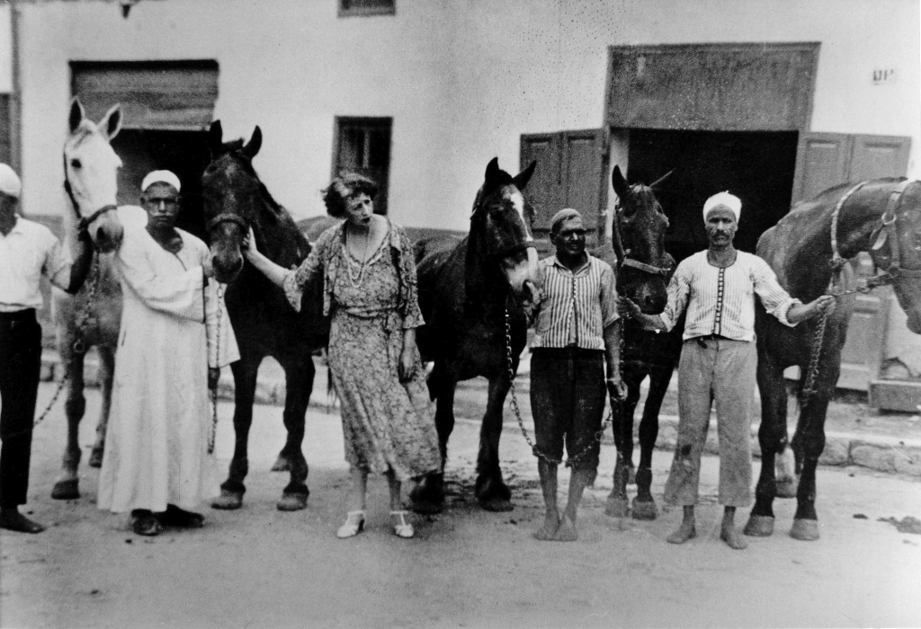 Dorothy Brooke and the Old War Horse buying committee, Cairo, 1930s