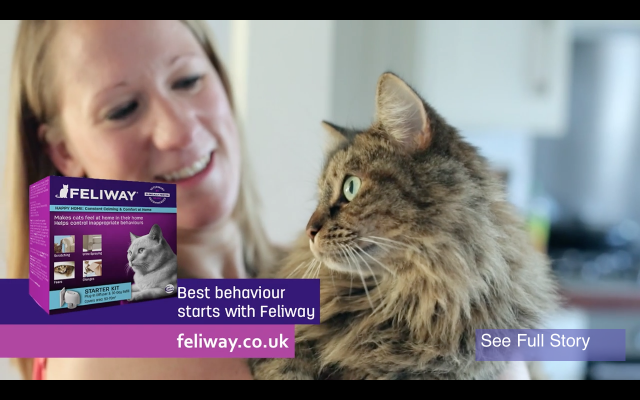 Clare and Mewsli - Feliway TV advertising campaign
