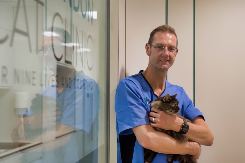 Dr Jeremy Campbell with feline patient 